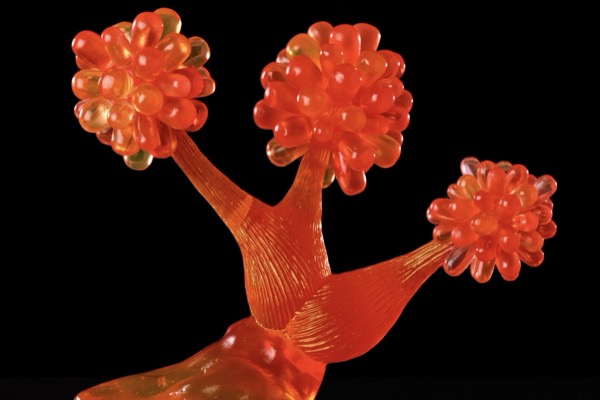 Wissenschaftliche Exponate „Bakterien“<span>Gießharz</span>